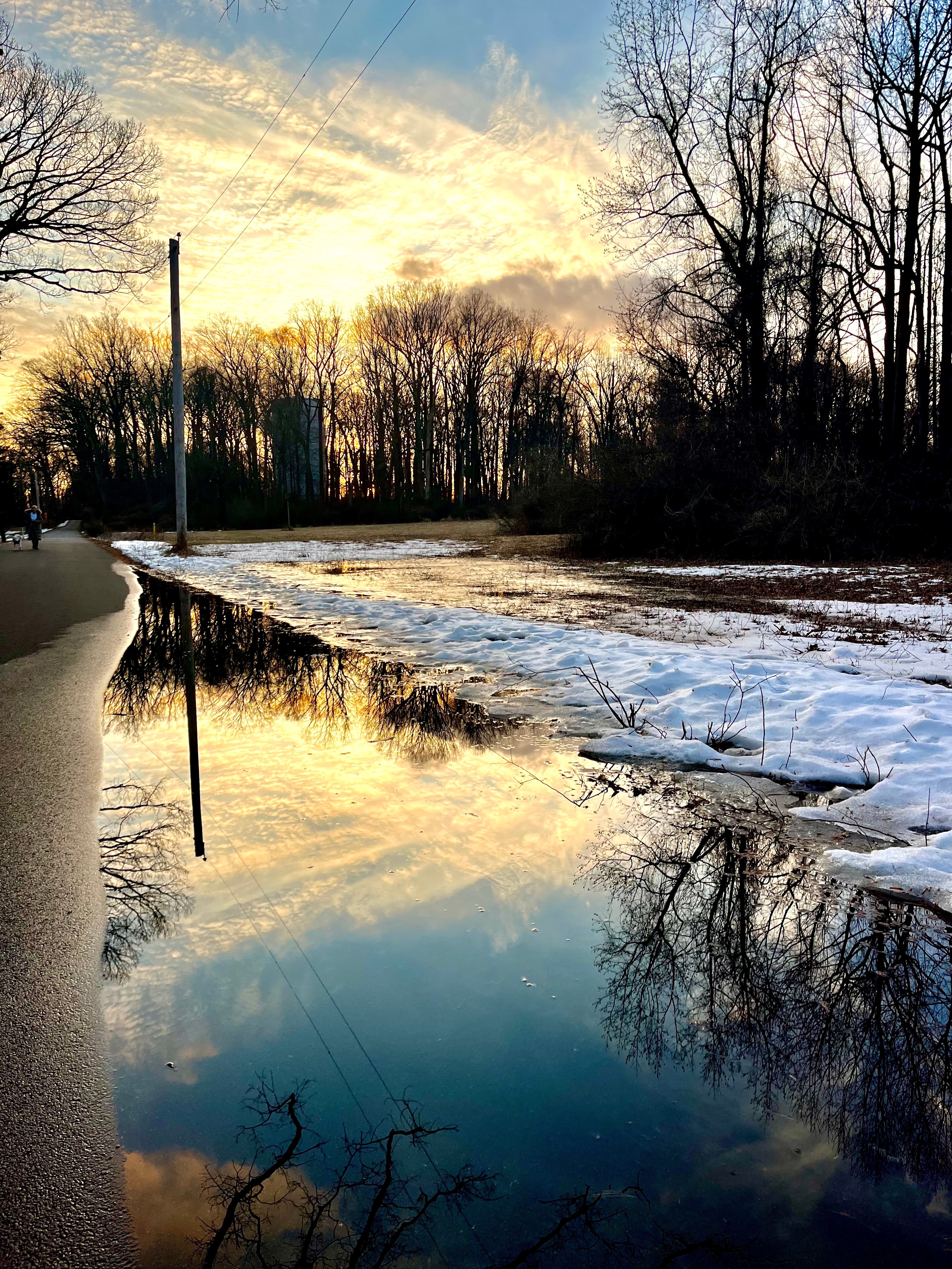 Marisa Noel Jones, Snow Puddle Reflections